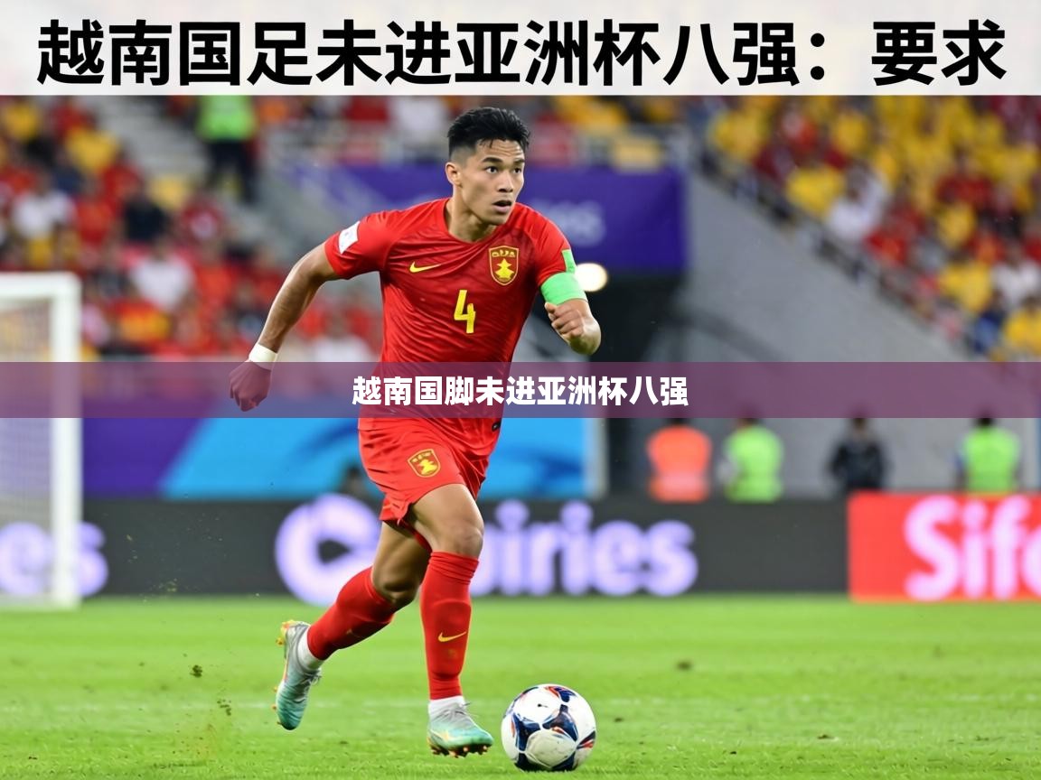 越南国脚未进亚洲杯八强 第2张